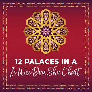12 palaces in Zi Wei Dou Shu