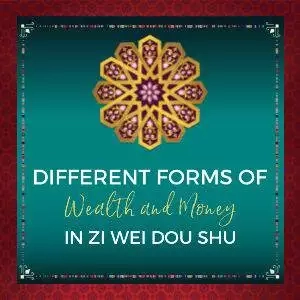 Different forms of wealth money in ZWDS