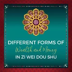 Different forms of wealth money in ZWDS