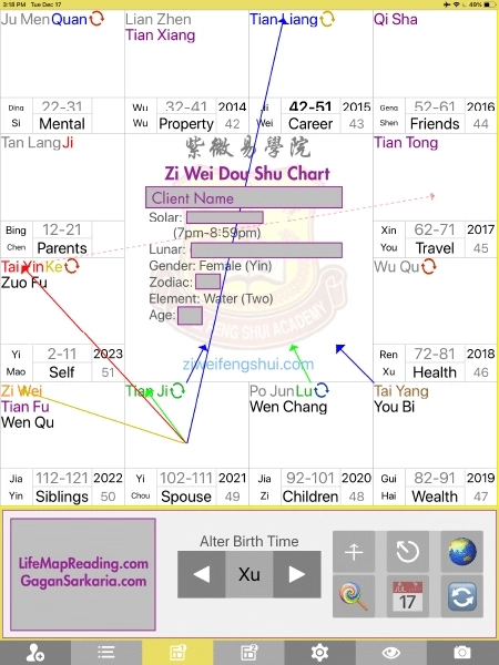 ZWDS Sample Chart Zi Wei Dou SHu Sample Chart