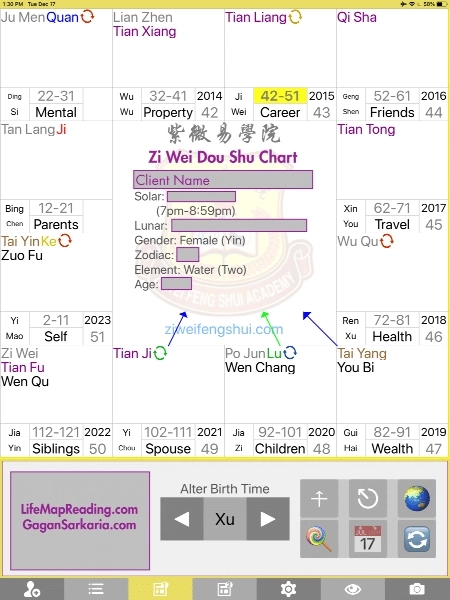 Zi-Wei-Dou-Shu-Chart-example Zi Wei Dou Shu chart example
