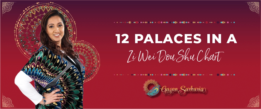 Gagan Sarkaria 12 Palaces in a Zi Wei Dou Shu Chart Blog Image Zi Wei Dou Shu Palaces