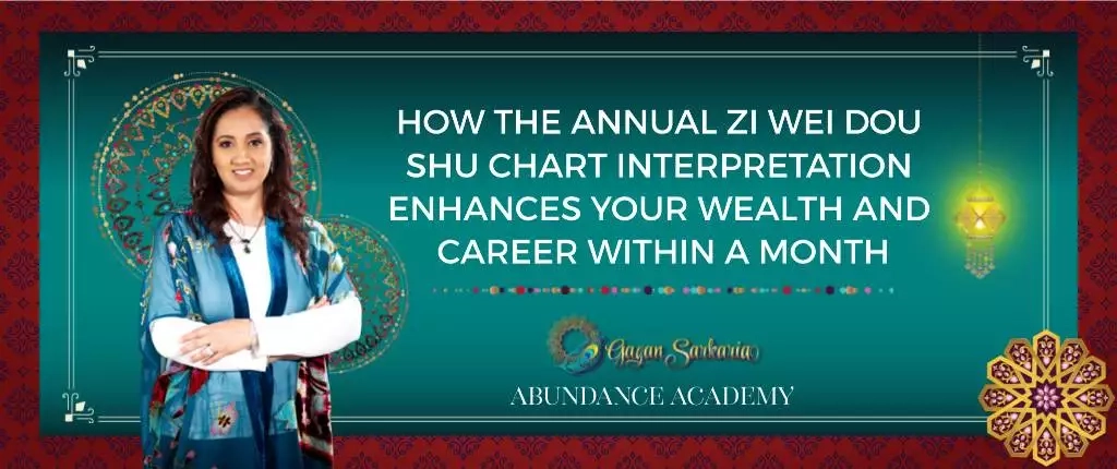 Zi Wei Dou Shu chart interpretation for wealth and career