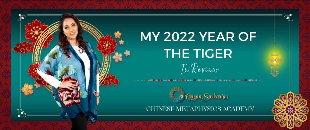 My 2020 year of the tiger zodiac.