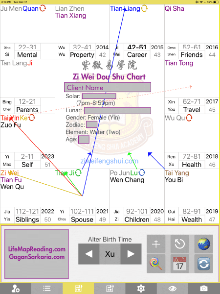 ZWDS Sample Chart Zi Wei Dou SHu Sample Chart