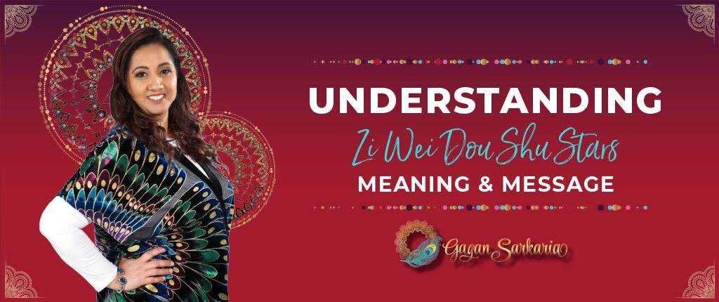 Gagan Sarkaria Zi Wei Dou Shu Stars Meaning Meaning of Zi Wei Dou Shu Stars