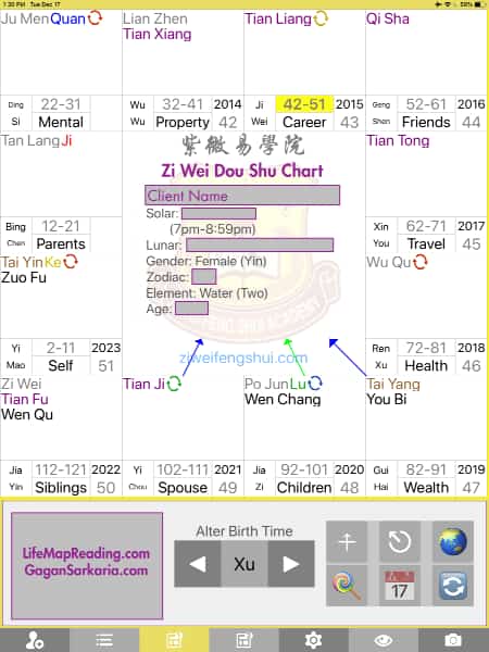 How to read a Zi Wei Dou Shu chart - Gagan Sarkaria